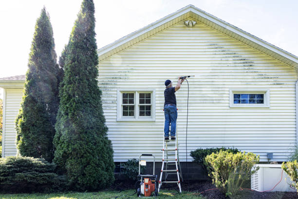 Best Pressure Washing Brick  in Bowie, TX