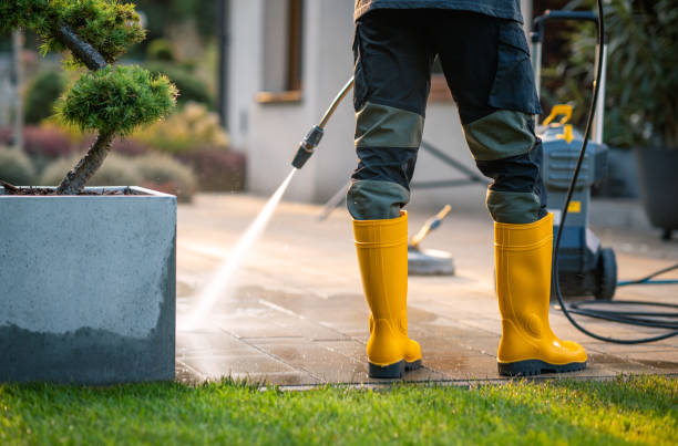Best Roof Pressure Washing  in Bowie, TX